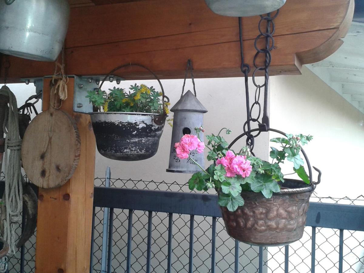 B&B Casa Francesca Alano Di Piave Exterior foto
