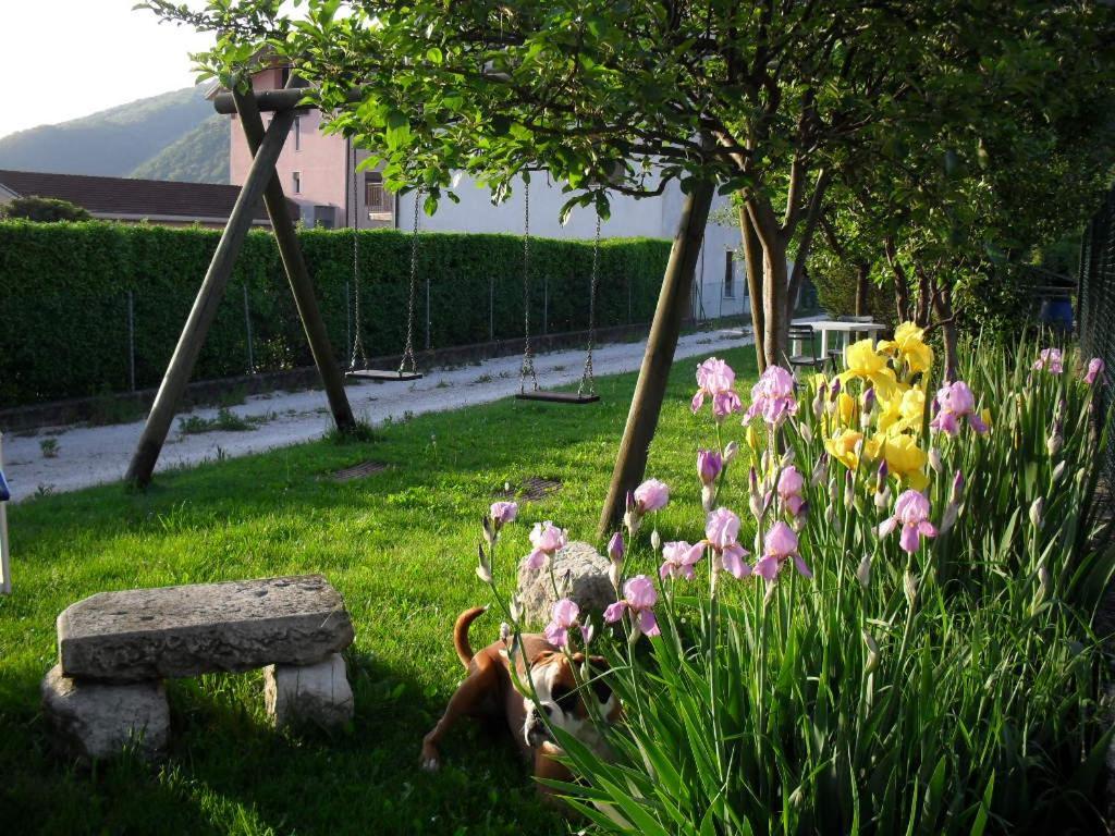 B&B Casa Francesca Alano Di Piave Exterior foto